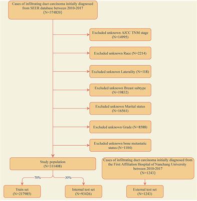 Using Machine Learning Methods to Predict Bone Metastases in Breast Infiltrating Ductal Carcinoma Patients